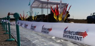 Когда и в какие районы Шымкента проведут природный газ