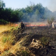 Пожар на старом кладбище