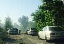 Пожар в шымкентском дендропарке