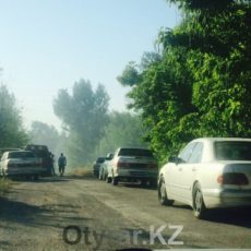 Пожар в шымкентском дендропарке