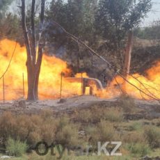 В Шымкенте на улице Дачной загорелся газопровод В Шымкенте на улице Дачной загорелся газопровод