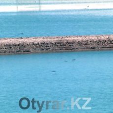 В Шымкенте завершена реконструкция водохранилища Акжар Водохранилище