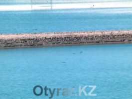 Водохранилище