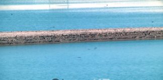 Новые водохранилища обеспечат водой тысячи гектаров в Туркестанской области Водохранилище