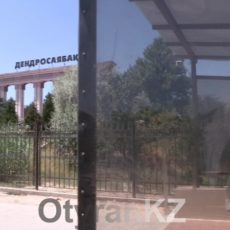 Подземный переход возле Дендропарка