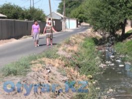 Жителям одной из улиц Шымкента грозит экологическая беда