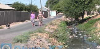Жителям одной из улиц Шымкента грозит экологическая беда Жителям одной из улиц Шымкента грозит экологическая беда