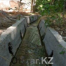 В Шымкенте еще остались арыки, по которым в жару бежит прохладная вода В Шымкенте еще остались арыки, по которым бежит прохладная вода в жаркие дни