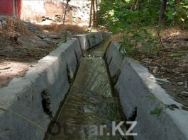 В Шымкенте еще остались арыки, по которым бежит прохладная вода в жаркие дни