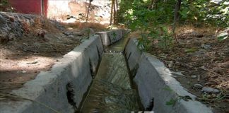 В Шымкенте еще остались арыки, по которым в жару бежит прохладная вода В Шымкенте еще остались арыки, по которым бежит прохладная вода в жаркие дни