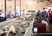 Почему шымкентский мусорный завод не справляется с отходами