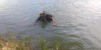 Утонувший в озере дендропарка подросток проживал в Сарыагашском районе