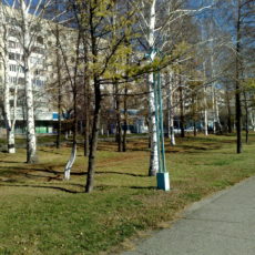 Иностранцы незаконно организовали в Капшагае библейский лагерь для детей