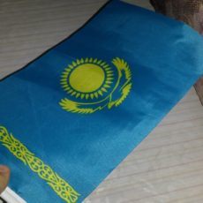 День Конституции в Шымкенте