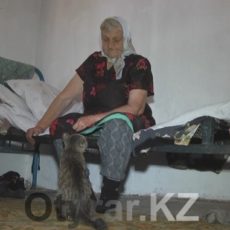 Жители Шымкента не успели спасти бабушку Жители Шымкента не успели спасти бабушку