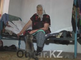 Жители Шымкента не успели спасти бабушку