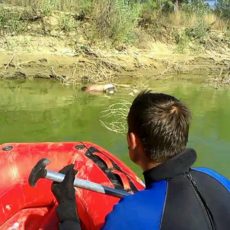 Спасатели нашли тело утонувшего в Сырдарье молодого человека Спасатели нашли тело утонувшего в Сырдарье молодого человека