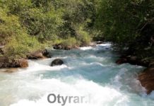 Найдены тела двух студентов, пропавших в горах Туркестанской области