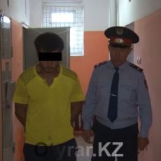 В Ордабасинском районе обнаружено 8 теплиц с коноплей Задержанный. ИВС