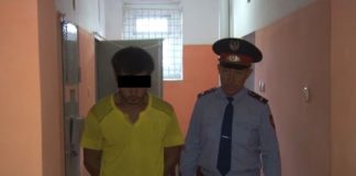 В Ордабасинском районе обнаружено 8 теплиц с коноплей Задержанный. ИВС