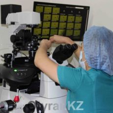 Врачи-репродуктологи назвали основные причины развития бесплодия в ЮКО Врачи-репродуктологи назвали основные причины развития бесплодия в ЮКО