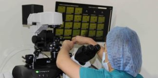 Врачи-репродуктологи назвали основные причины развития бесплодия в ЮКО Врачи-репродуктологи назвали основные причины развития бесплодия в ЮКО