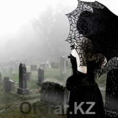 Черная вдова и ее жертвы Черная вдова