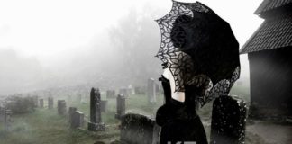 Черная вдова и ее жертвы Черная вдова