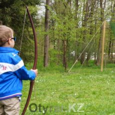 В Шымкенте 8-летнему ребенку стрелой от самодельного лука выбило глаз В Шымкенте 8-летнему ребенку стрелой от самодельного лука выбило глаз