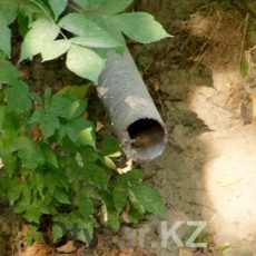 Главная водная артерия Шымкента нуждается в экстренной помощи Как шымкентцы превращают Кошкарату в помойку