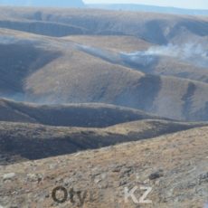 В Байдибекском районе выгорело 2000 га земли В Байдибекском районе выгорело 2000 га земли
