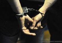 Мошенники увели скот на 4 млн тенге в Туркестанской области