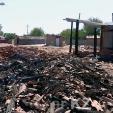 В Арысском районе ЮКО странные пожары уничтожают запасы кормов для скота В Арысском районе ЮКО пожары уничтожают запасы кормов для скота