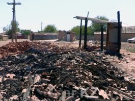 В Арысском районе ЮКО пожары уничтожают запасы кормов для скота
