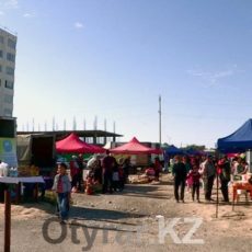 Масштабная ярмарка прошла в Каратауском районе Шымкента