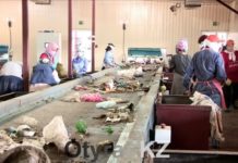 Мусорный завод Шымкента работает в штатном режиме Мусорный завод Шымкента