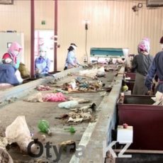 Всего 3,5% отходов перерабатывают в Шымкенте Мусорный завод Шымкента