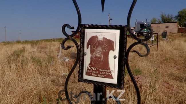 В Шымкенте существует кладбище домашних животных