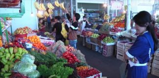 Закаточный сезон в Шымкенте: сколько стоят припасы на зиму