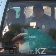 В Шардаре пьяный водитель оказал сопротивление полиции В Южном Казахстане задержан пьяный водитель с ружьем