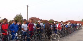 250 учителей приняли участие в веломарафоне 250 учителей приняли участие в веломарафоне