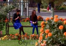 С 1 июня лето в Шымкенте вновь вступит в свои права Лето в Шымкенте