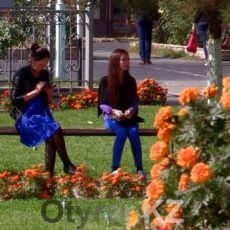 С 1 июня лето в Шымкенте вновь вступит в свои права Лето в Шымкенте