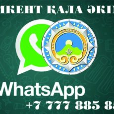 Более 680 сообщений поступило на WhatsApp акимата Шымкента за месяц