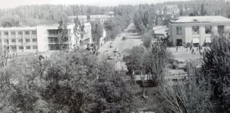 В горах Каратау планировали разводить енотов