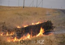 Максимальный класс пожарной опасности объявлен в Шымкенте