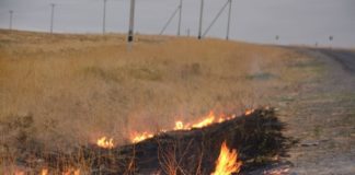 Максимальный класс пожарной опасности объявлен в Шымкенте