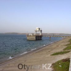 Два новых рыбных завода откроются в Южном Казахстане