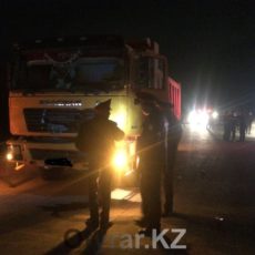 В Шымкенте под колесами грузовика погибли двое мужчин