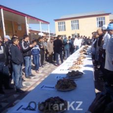 В Шымкенте прошел фестиваль плова под девизом «Дастархан дружбы»